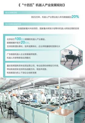 政策引領(lǐng)，服務(wù)賦能 重慶信息技術(shù)咨詢助力機器人產(chǎn)業(yè)蓬勃發(fā)展